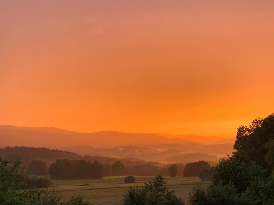 Burggasthof Weissenstein Regen Εξωτερικό φωτογραφία